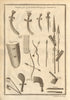 Gold Coast weapons. Barbot. Ghana 1745 antique vintage print picture