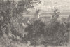 AUSTRIA. A Glimpse of Bregenz 1903 old antique vintage print picture