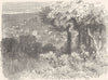 GERMANY. Schlangenbad 1903 old antique vintage print picture