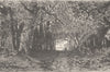 GERMANY. On the Niederwald 1903 old antique vintage print picture