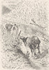 GERMANY. The Rheingau 1903 old antique vintage print picture