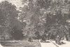 GERMANY. Ave Poppelsdorf, Bonn 1903 old antique vintage print picture