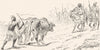 MOROCCO. A pair of oxen 1882 old antique vintage print picture