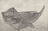 NORWAY. The Viking's Ship, showing shields in position 1890 old antique print