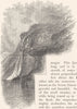 NORWAY. The Seven Sisters fall 1890 old antique vintage print picture