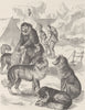 GREENLAND. Greenland Eskimo Dog-Sledge 1890 old antique vintage print picture