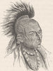 USA. North-American Indian type of face (Ojibway)  1890 old antique print