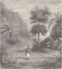 POLYNESIA. Valley in the interior of Tahiti 1890 old antique print picture