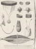 POLYNESIA. Tools & ornaments of the Aborigines of the Marquesas Islands 1890