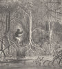 PACIFIC ISLANDS. Through the Mangroves, New Caledonia 1890 old antique print