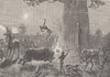 SOUTHERN AFRICA. Night surprise in the Kalahari desert 1890 old antique print