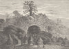 SUDAN. Negro Conical huts & Baobab tree, Kourounding Koto, Western Soudan 1890