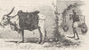 INDIA. Water carriers 1892 old antique vintage print picture