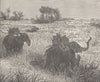 INDIA. Tiger-hunting in the jungle 1892 old antique vintage print picture