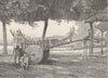 BURMA. Burmese Paddy (Rice or Country) Cart 1892 old antique print picture