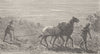 TURKMENISTAN. Turkoman ploughing 1892 old antique vintage print picture