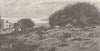MALTA. Point Koura, Malta 1893 old antique vintage print picture