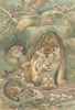 TIGERS. Tigress and cubs 1893 old antique vintage print picture