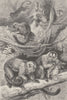 PRIMATES. Group of Douroucolis 1893 old antique vintage print picture