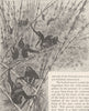PRIMATES. Hoolocks in a bamboo jungle 1893 old antique vintage print picture