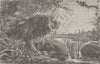 LIONS. The lion at a pool 1893 old antique vintage print picture