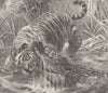 CROCODILES. Struggle, stream 1893 old antique vintage print picture