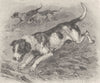 DOGS. Foxhounds in full cry 1893 old antique vintage print picture
