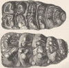 ANIMALS. Molar teeth of 2 Indian mastodons 1894 old antique print picture