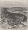 WHALES. The sperm-whale 1894 old antique vintage print picture