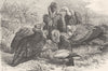 EUROPEAN VULTURES. Black; Egyptian; Griffon 1895 old antique print picture