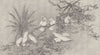 BIRDS. Cockatoos at home 1895 old antique vintage print picture