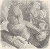BIRDS. Rose-crested cockatoo 1895 old antique vintage print picture