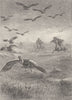 BIRDS. Gauchos lassoing condors 1895 old antique vintage print picture