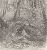 BIRDS. Woodcock in covert 1895 old antique vintage print picture