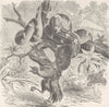 DOGS. Dog-headed tree-boa 1896 old antique vintage print picture