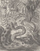 FAMILIES. The home of the anaconda 1896 old antique vintage print picture