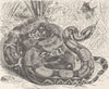 REPTILES. Common boa 1896 old antique vintage print picture