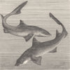 FISH. Spiny dog-& smooth hound  1896 old antique vintage print picture