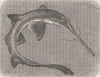 JAPAN. Japanese saw-fish 1896 old antique vintage print picture