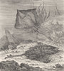 FISH. Thornback skates 1896 old antique vintage print picture