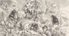 BEES. Common bumble-bee with nest. Stone bumble-bee 1896 old antique print