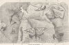 LEPIDOPTERA. Group of loopers 1896 old antique vintage print picture