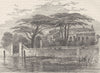 CHELSEA. The Botanical Gardens, Chelsea, 1790. London c1880 old antique print