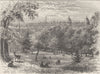 GREENWICH. View in Greenwich Park. London c1880 old antique print picture