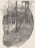 ANIMALS. kangaroo 1890 old antique vintage print picture