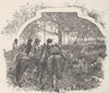AUSTRALIA. Gt scrub suddenly seemed to move 1890 old antique print picture
