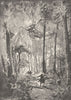 AUSTRALIA. Bush Fire. Riding blazing 1890 old antique vintage print picture