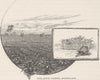 QUEENSLAND. Margaret Seymour. Pine-apple garden  1890 old antique print