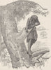 AUSTRALIA. West. Opossum hunting 1890 old antique vintage print picture