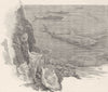 AUSTRALIA. West. Sharks 1890 old antique vintage print picture